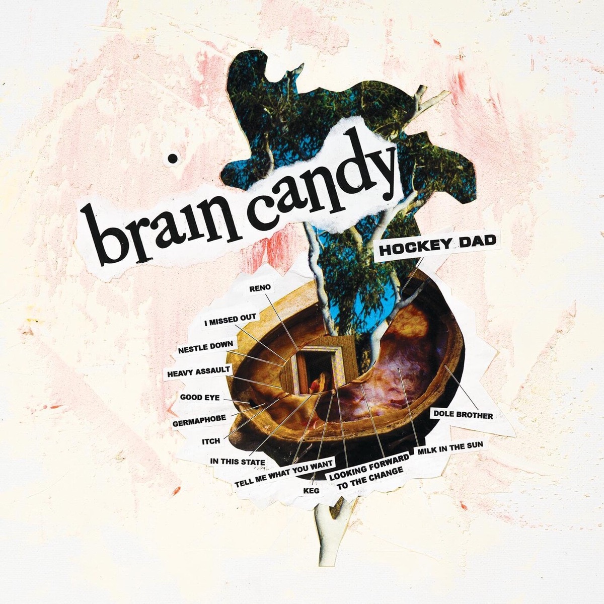 Brain Candy by Hockey Dad