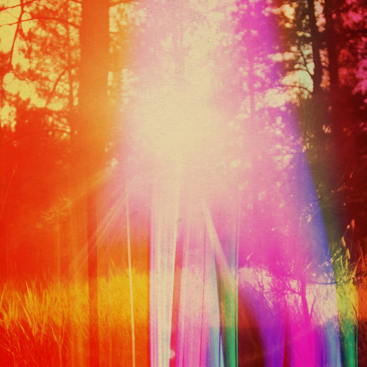The Last Bright Place by Hollie Kenniff & Kazuma Okabayashi