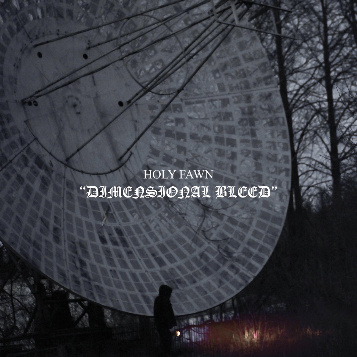 Dimensional Bleed by Holy Fawn