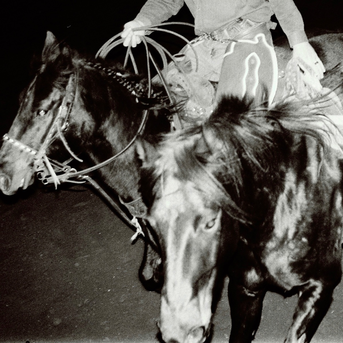 Heaven's Night by Holy Motors