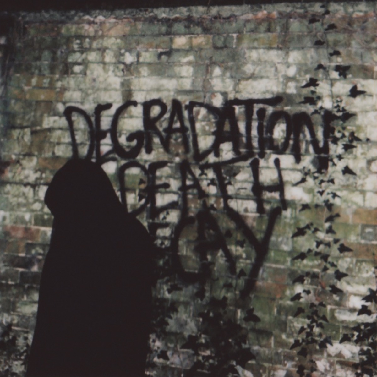 Degradation, Death, Decay by Ian Miles
