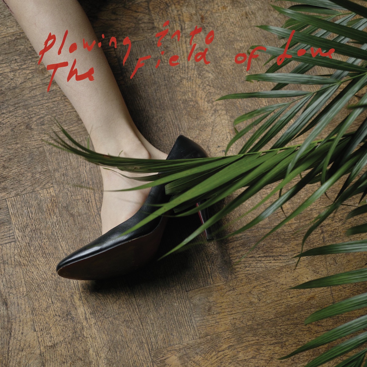 Plowing Into the Field of Love by Iceage