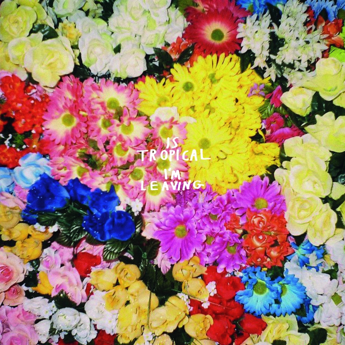 I'm Leaving by Is Tropical