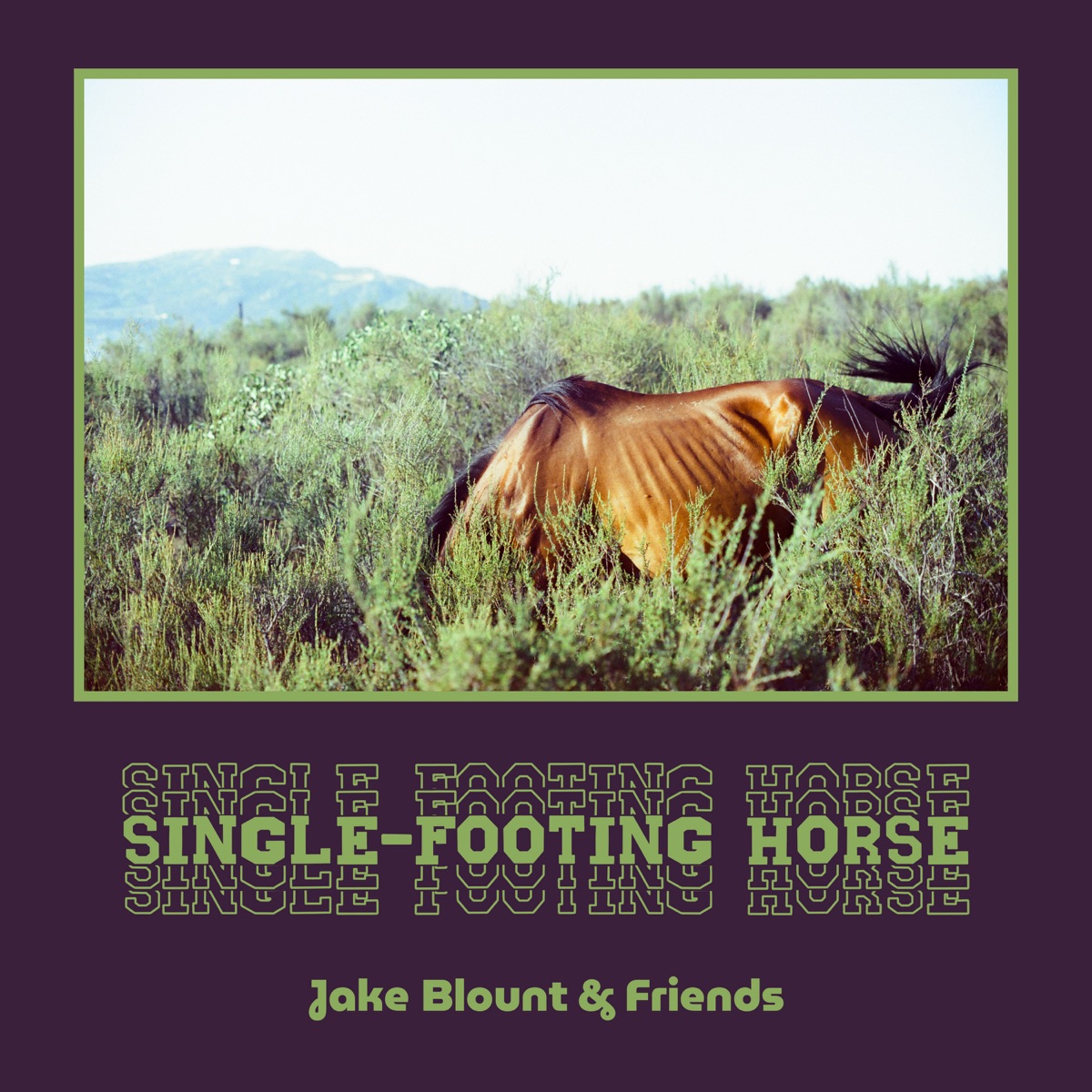 Single-Footing Horse by Jake Blount