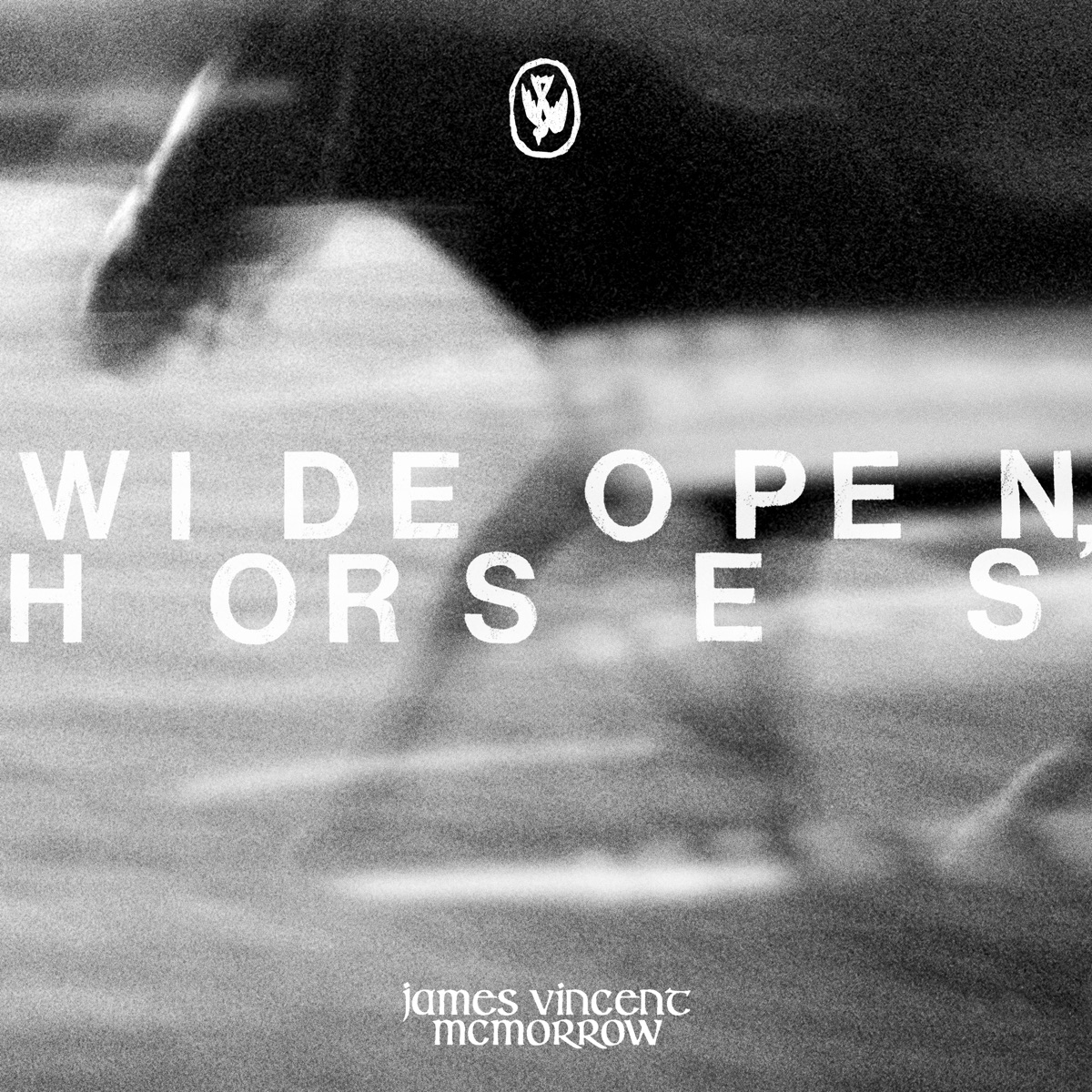 Wide open, horses by James Vincent McMorrow