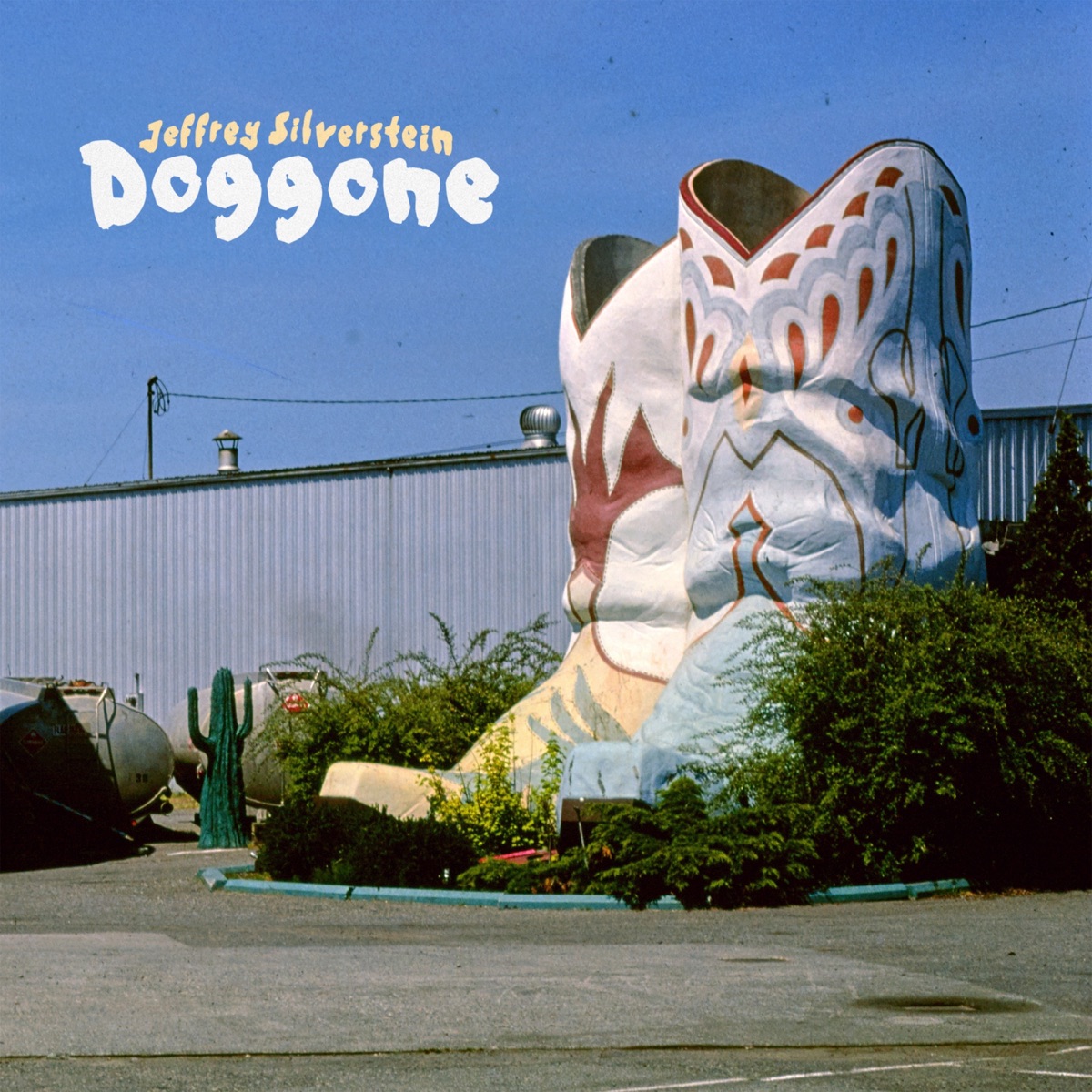 Doggone by Jeffrey Silverstein