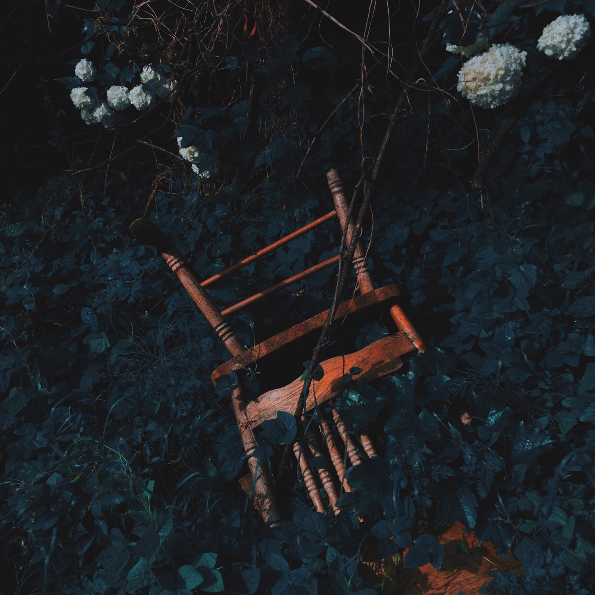 LUCID by Jida