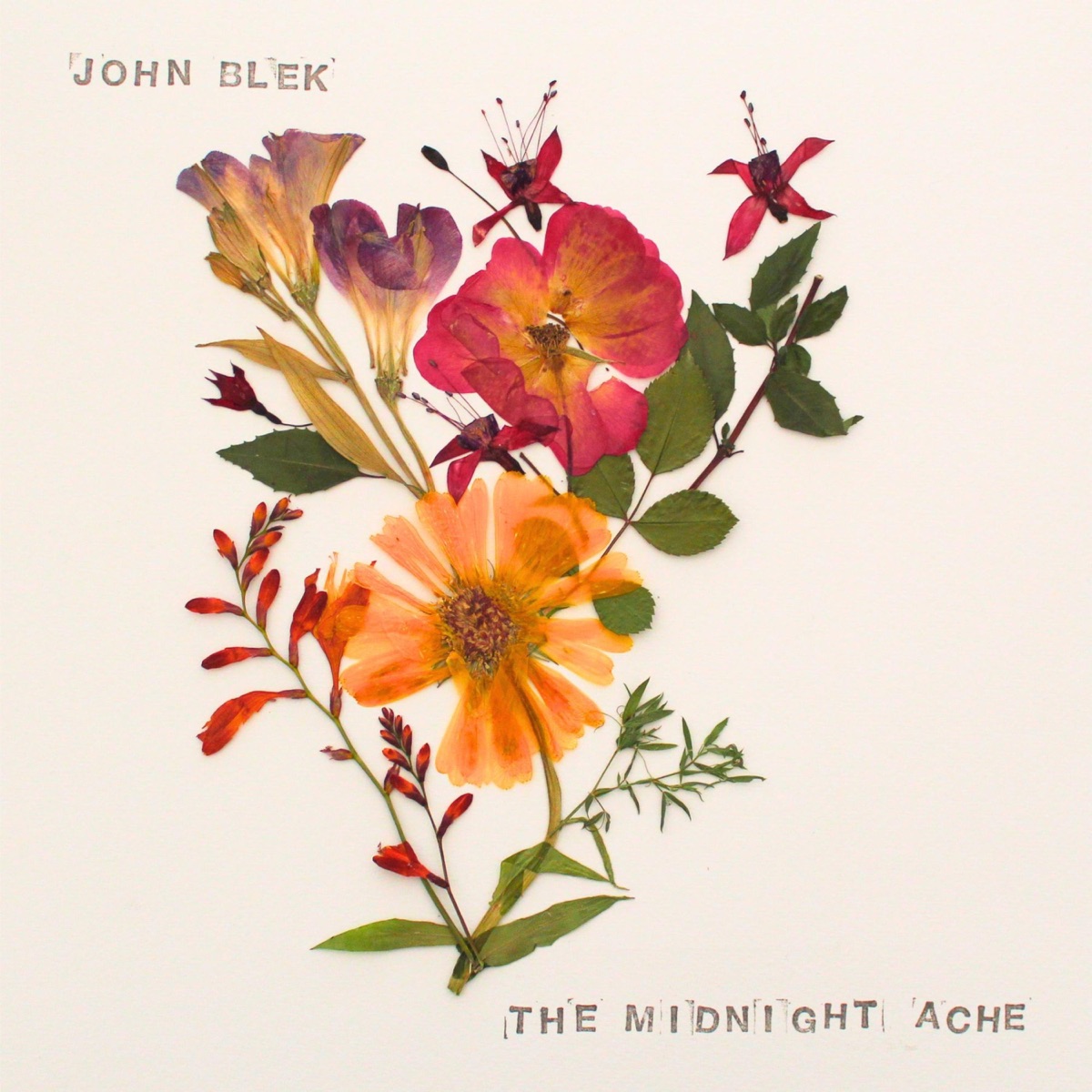 The Midnight Ache by John Blek