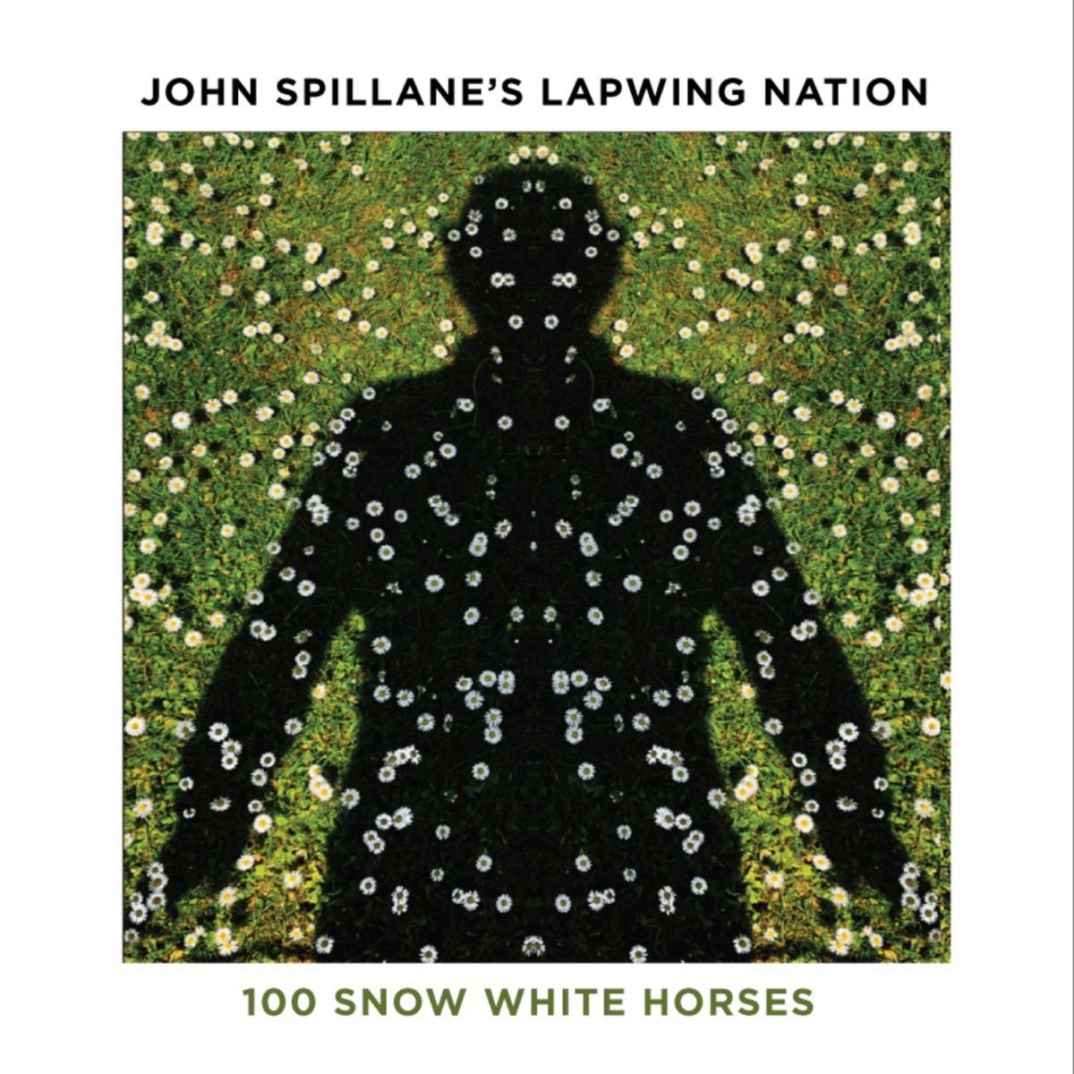 100 Snow White Horses by John Spillane