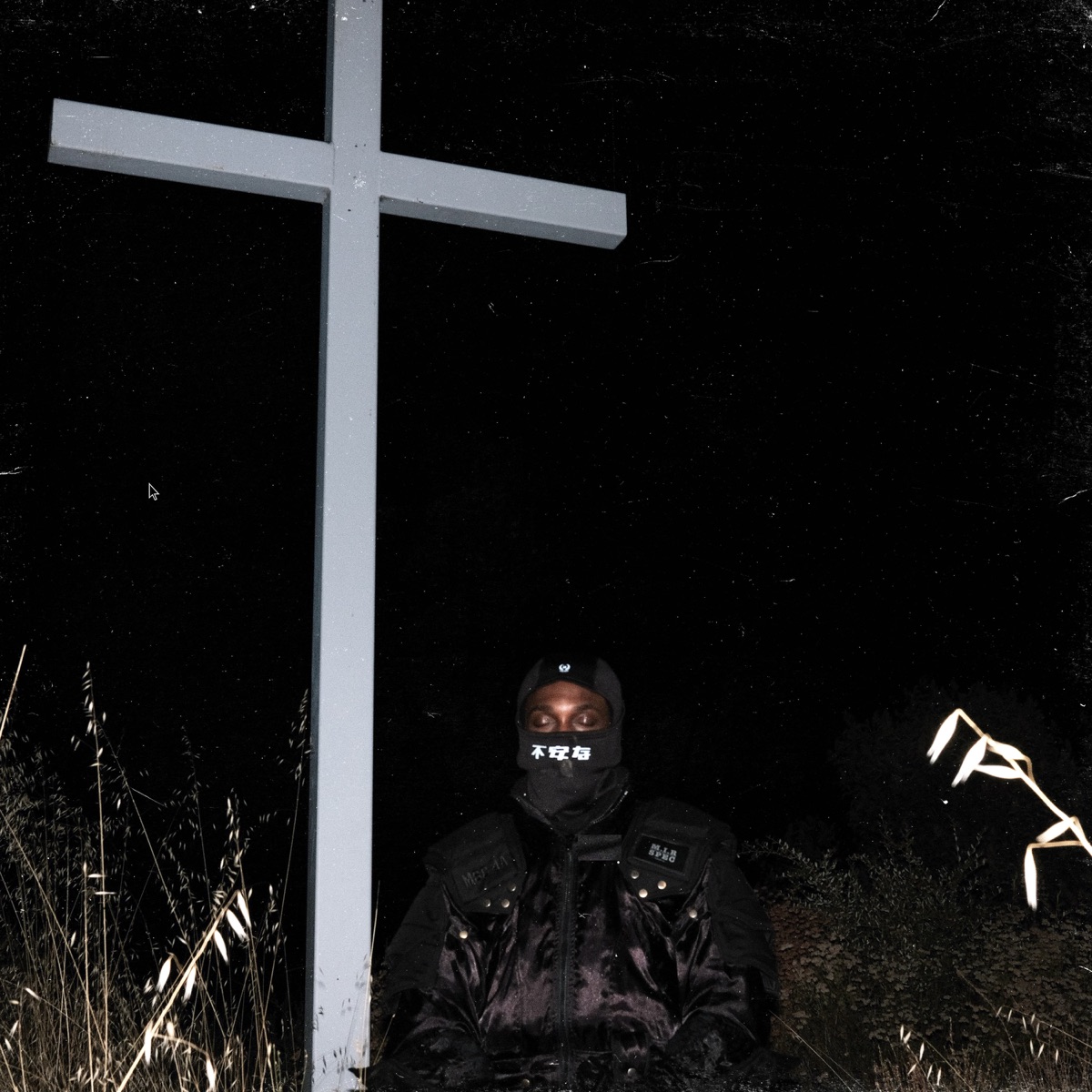 I LAY DOWN MY LIFE FOR YOU by JPEGMAFIA