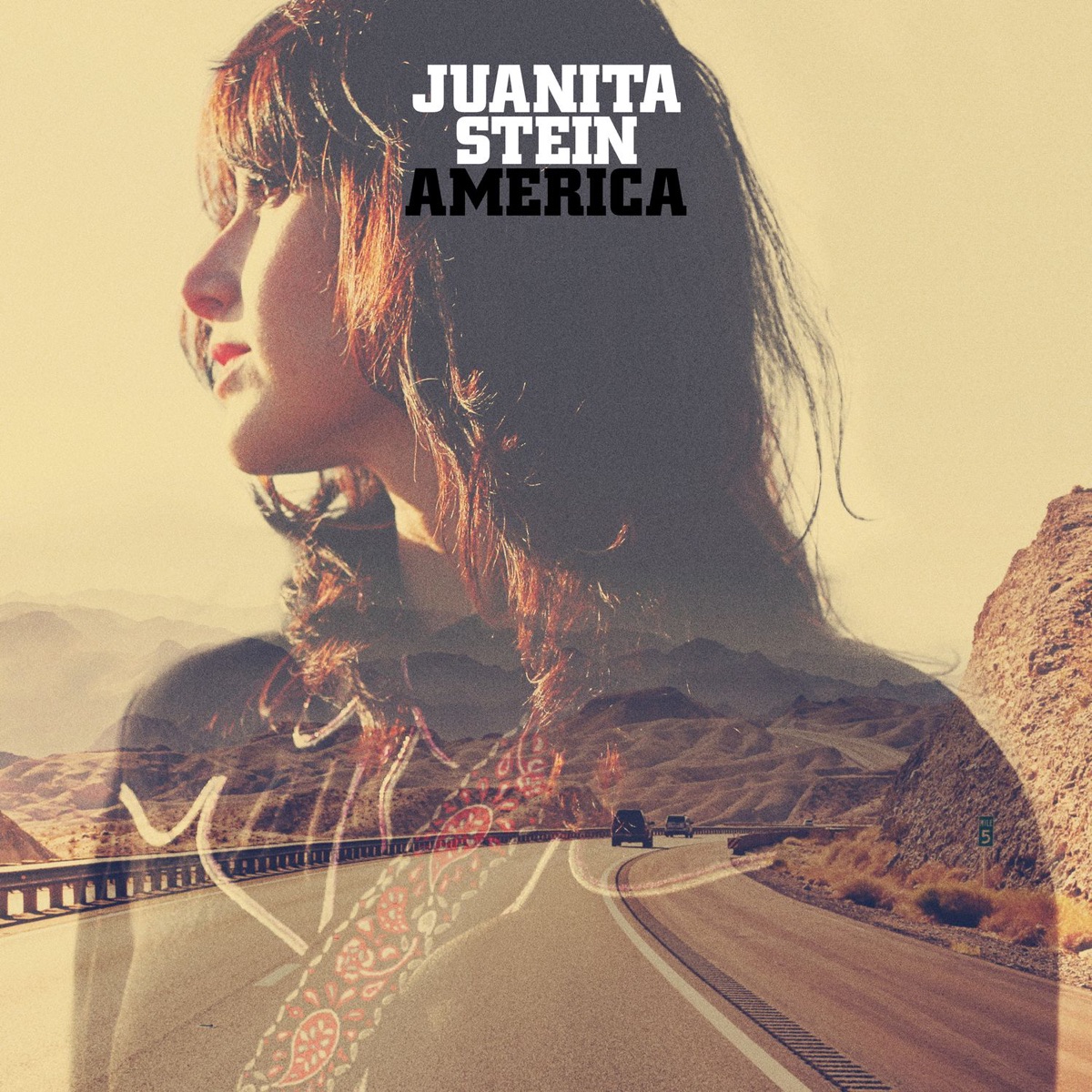 America by Juanita Stein