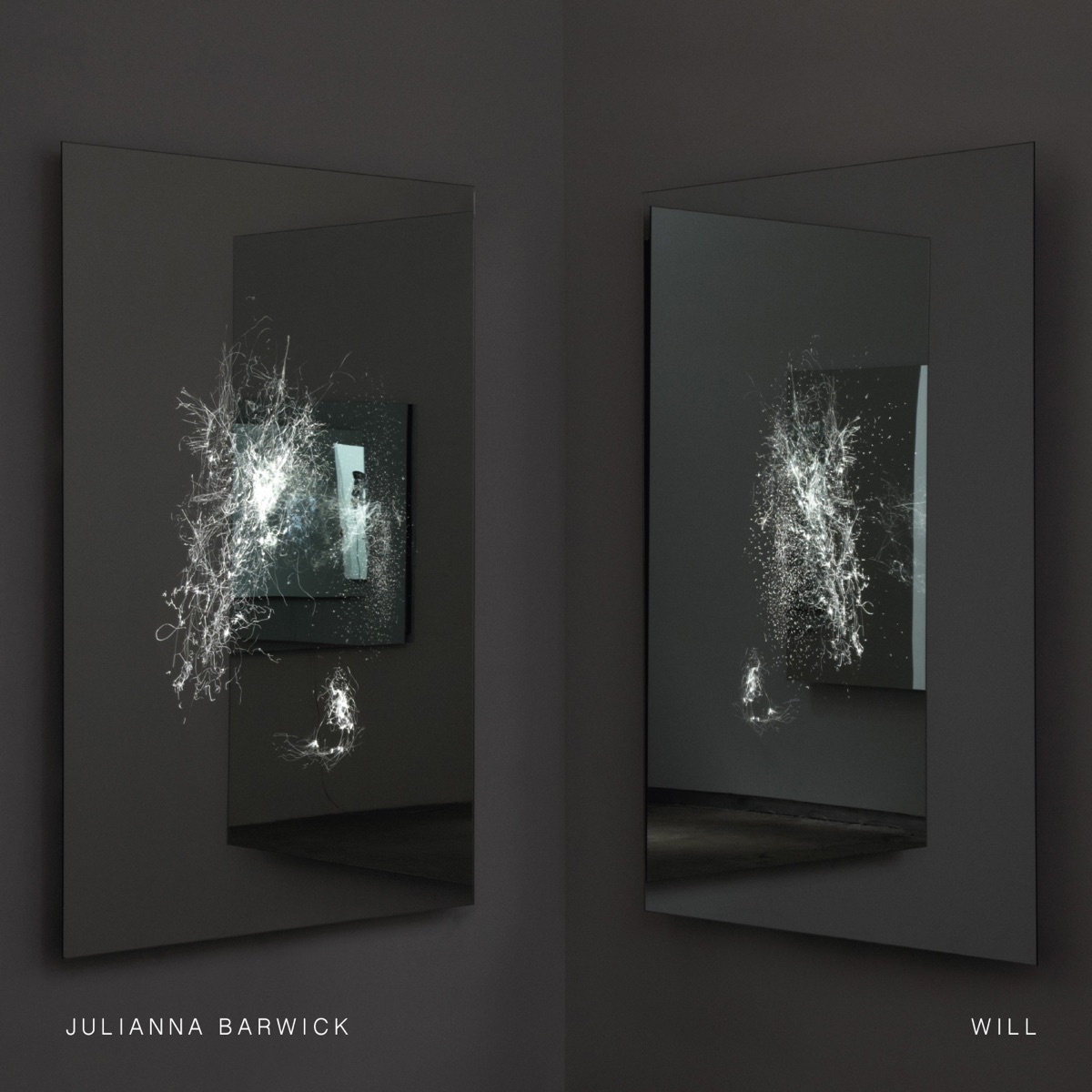 Will by Julianna Barwick