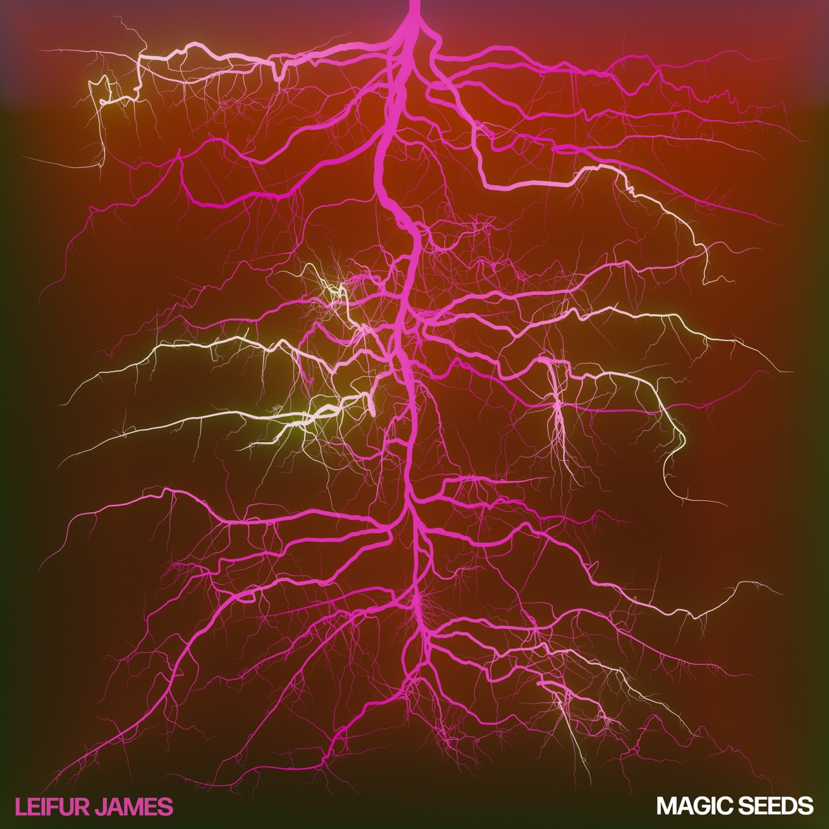 Magic Seeds by Leifur James