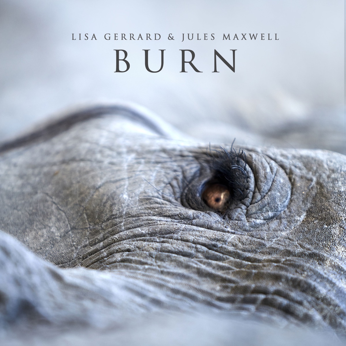 Burn by Lisa Gerrard & Jules Maxwell