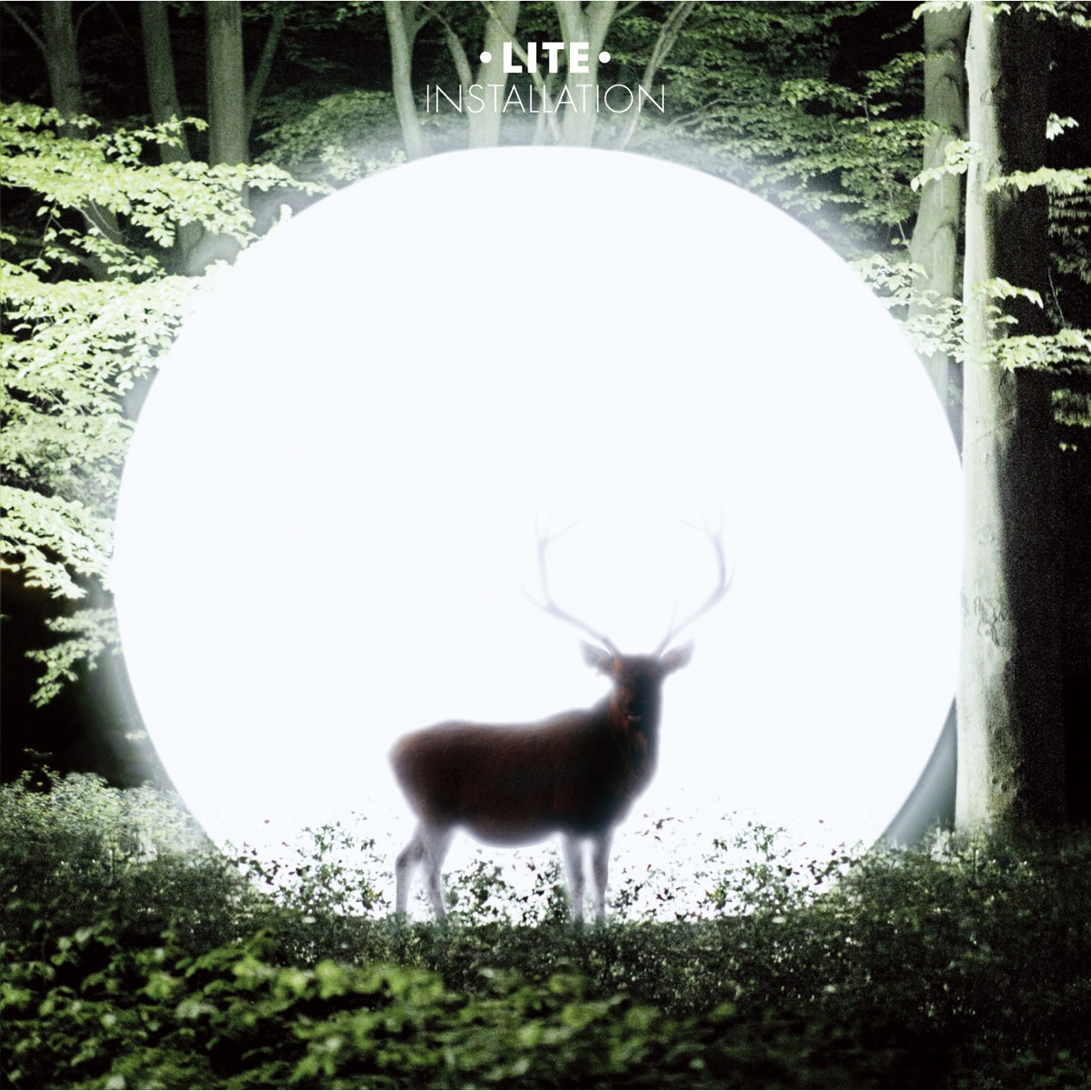 Installation by LITE