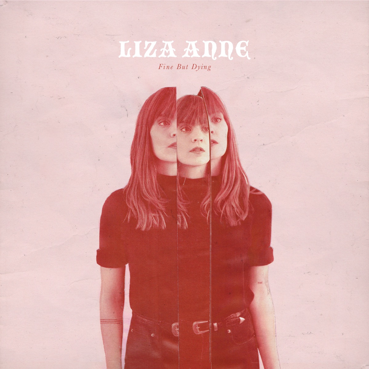 Fine But Dying by Liza Anne