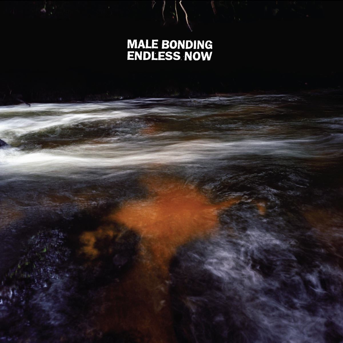 Endless Now by Male Bonding