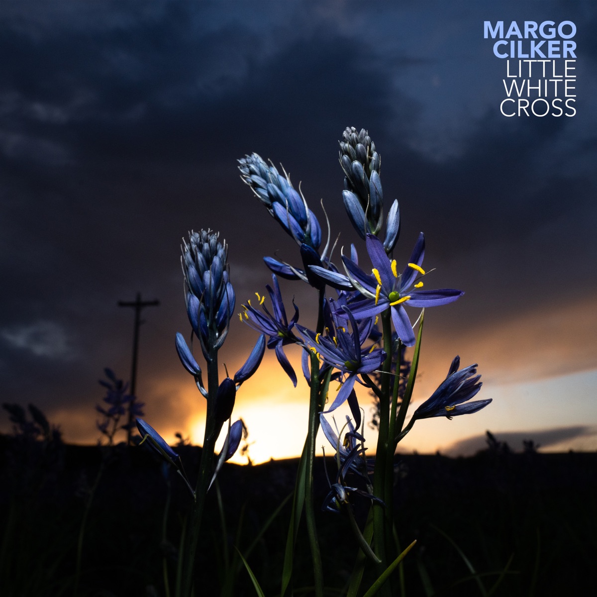 Little White Cross by Margo Cilker
