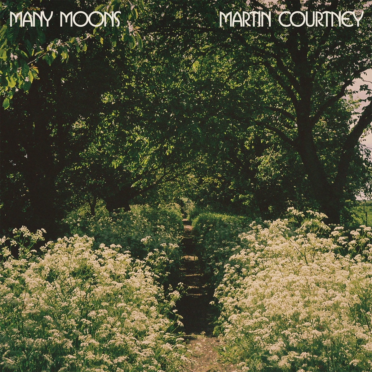 Many Moons by Martin Courtney