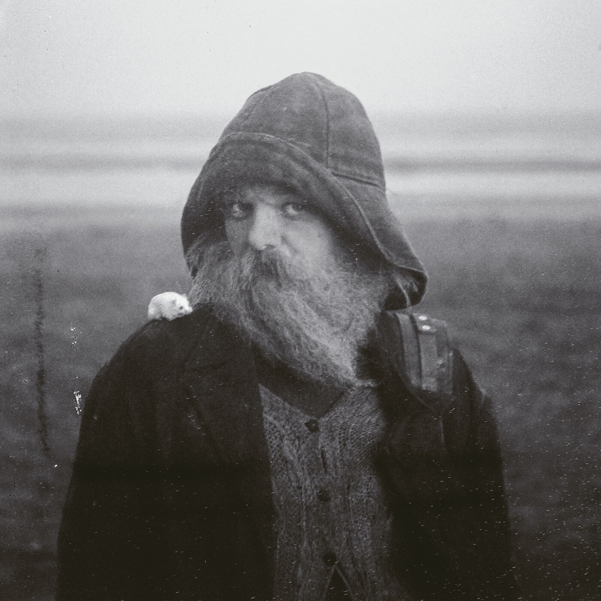 Role Model Hermit by mary in the junkyard