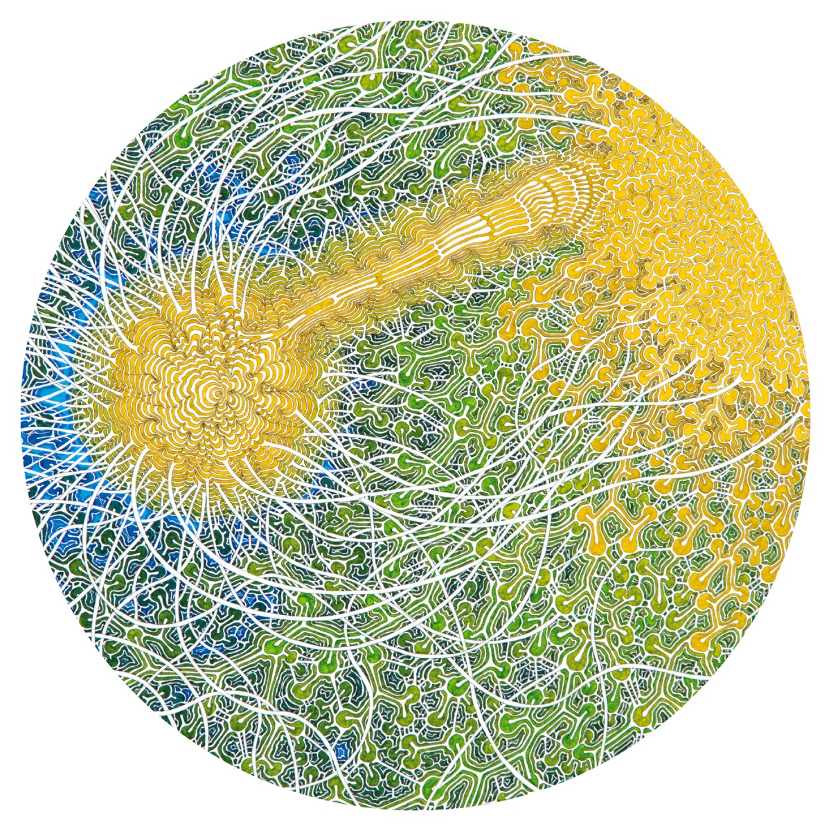 Feeling Is Structure by Max Cooper