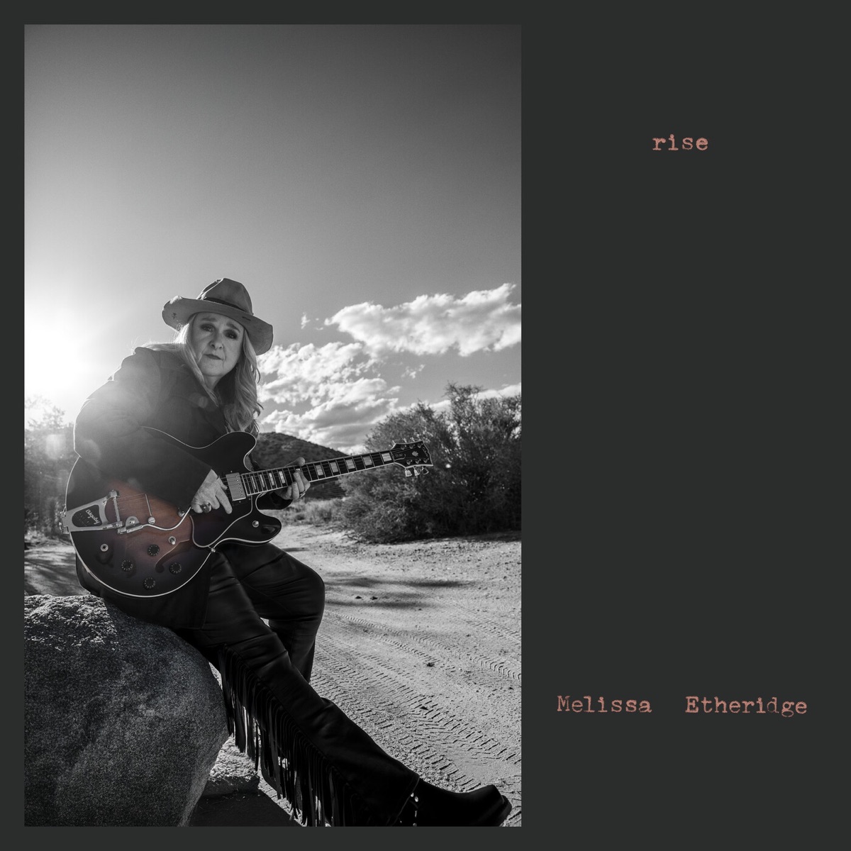 Rise by Melissa Etheridge