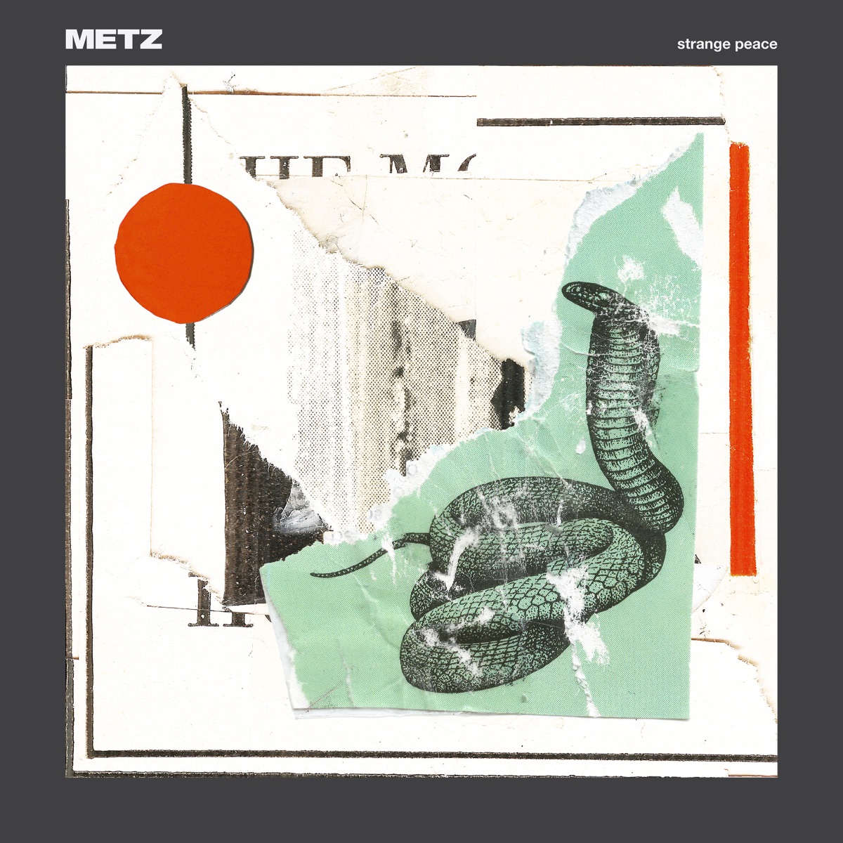 Strange Peace by METZ