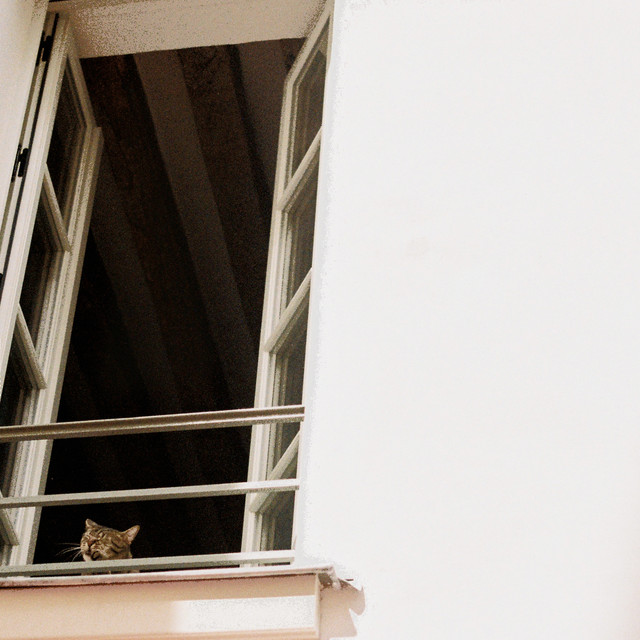 Something Soft by M(h)aol