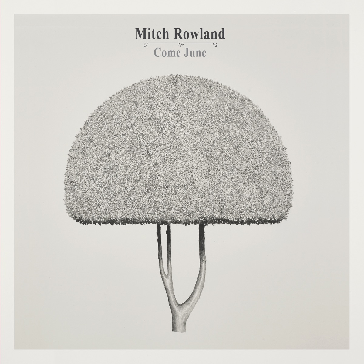 Come June by Mitch Rowland
