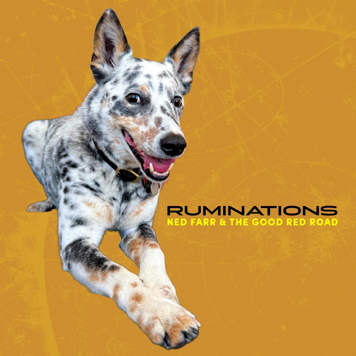 Ruminations by Ned Farr & The Good Red Road