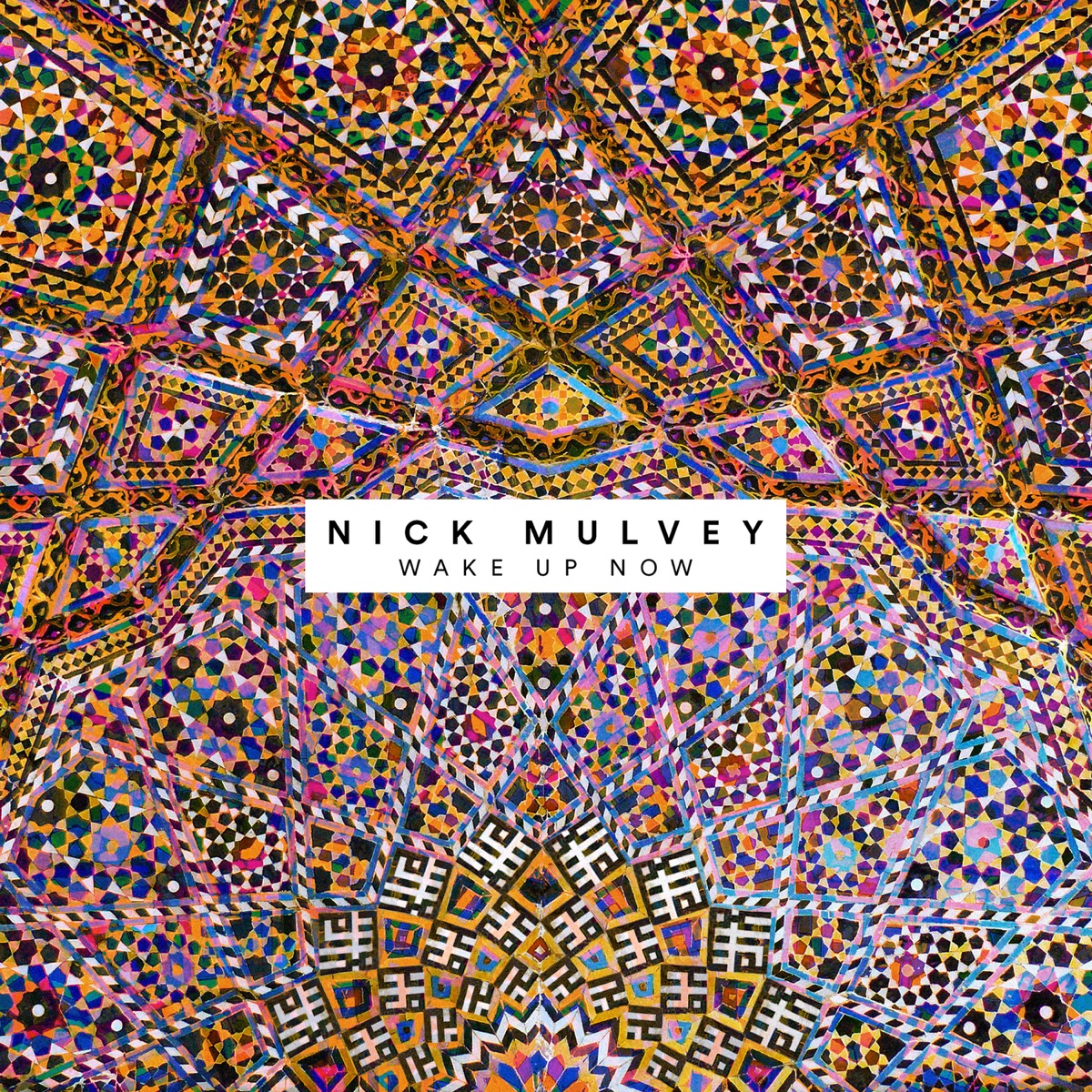 Wake Up Now by Nick Mulvey