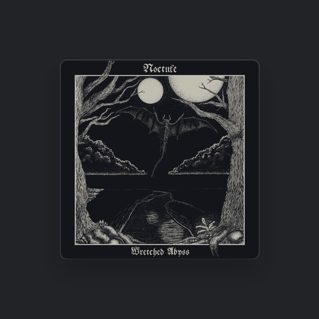 Noctule