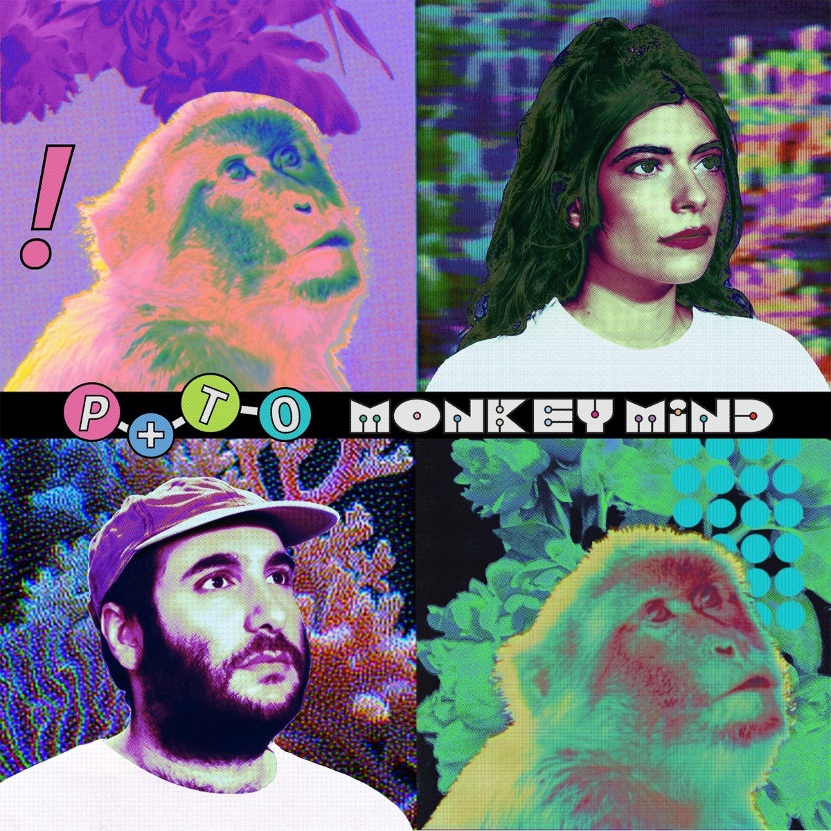 Monkey Mind by Pearl & The Oysters