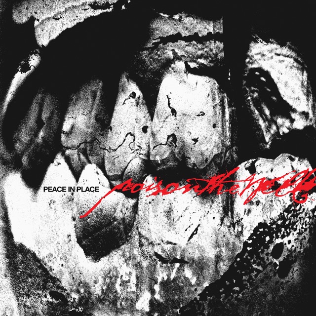 Peace In Place by Poison the Well