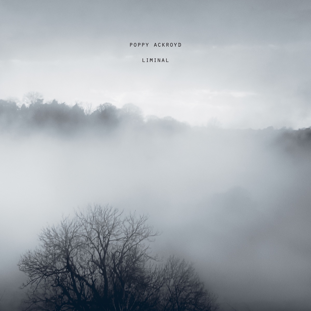 Liminal by Poppy Ackroyd
