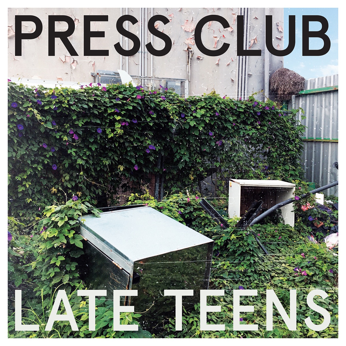 Late Teens by Press Club