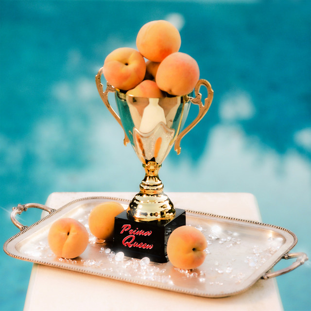 The Prize by Prima Queen