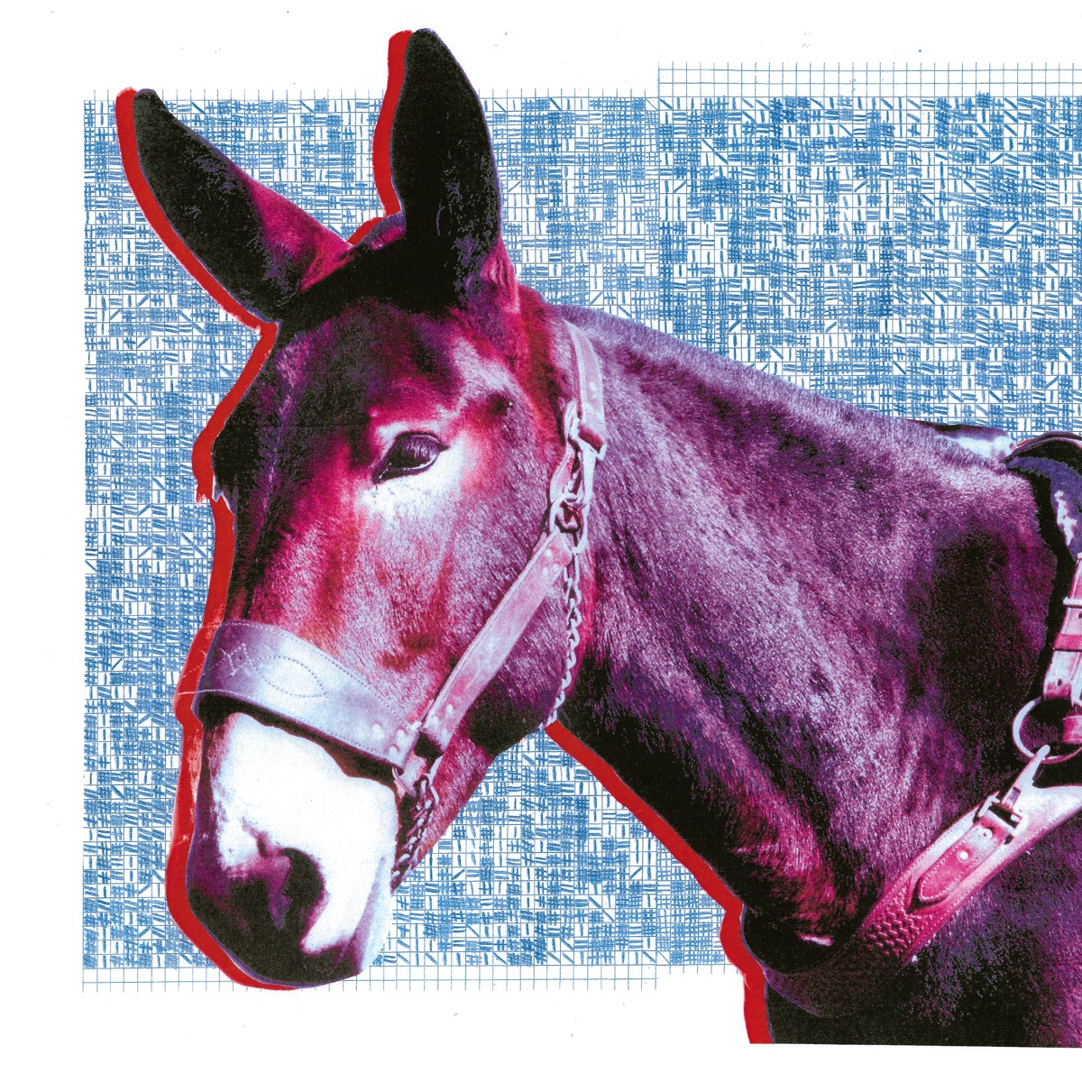 Ultimate Success Today by Protomartyr