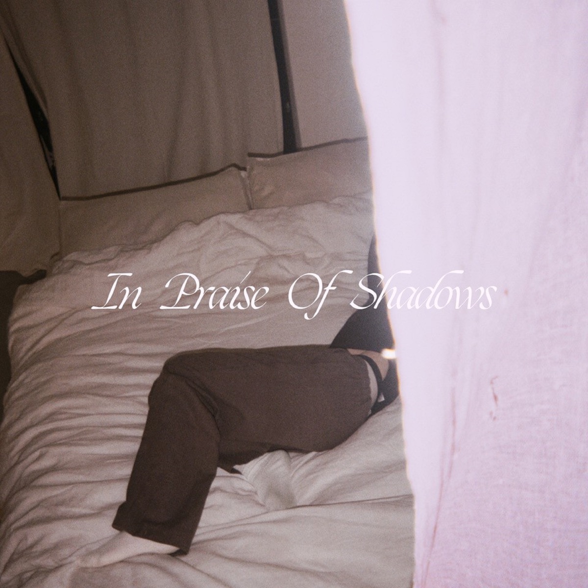 In Praise of Shadows by Puma Blue