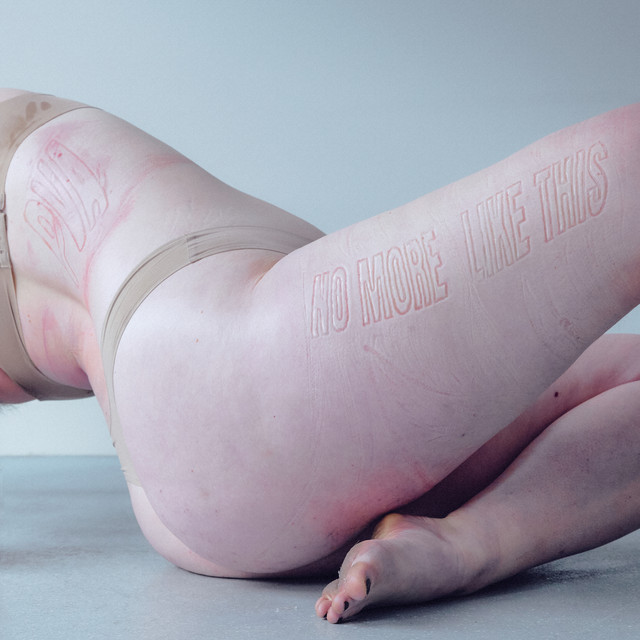 No More Like This by PVA