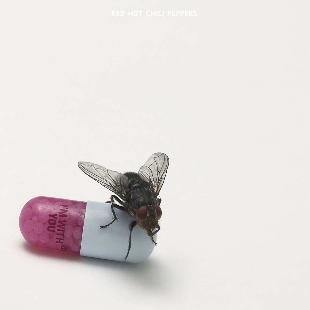 I'm with You by Red Hot Chili Peppers