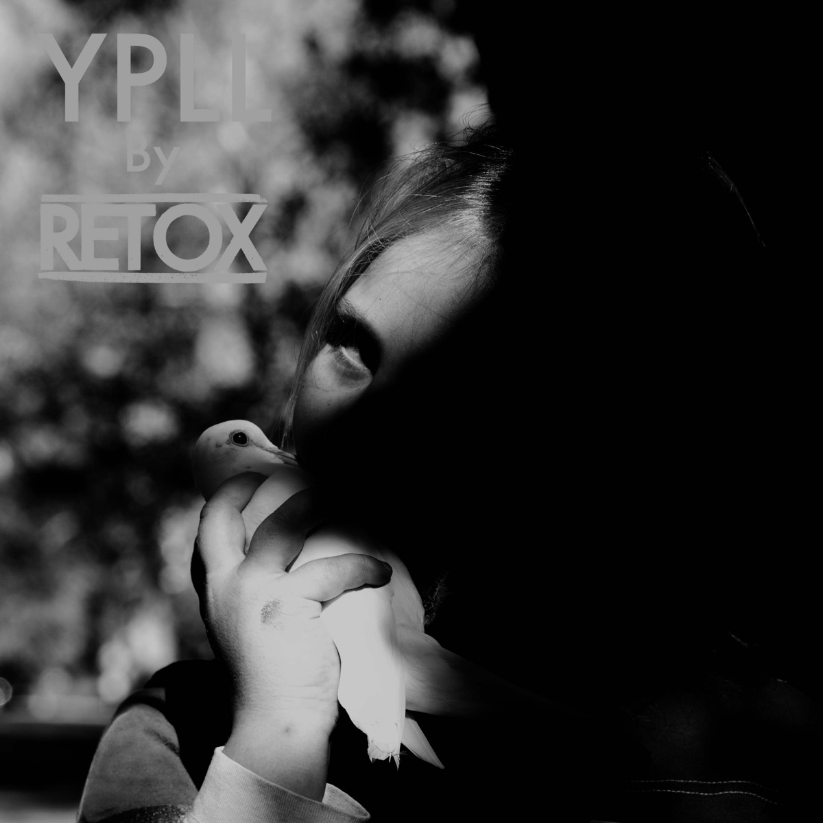 Ypll by Retox