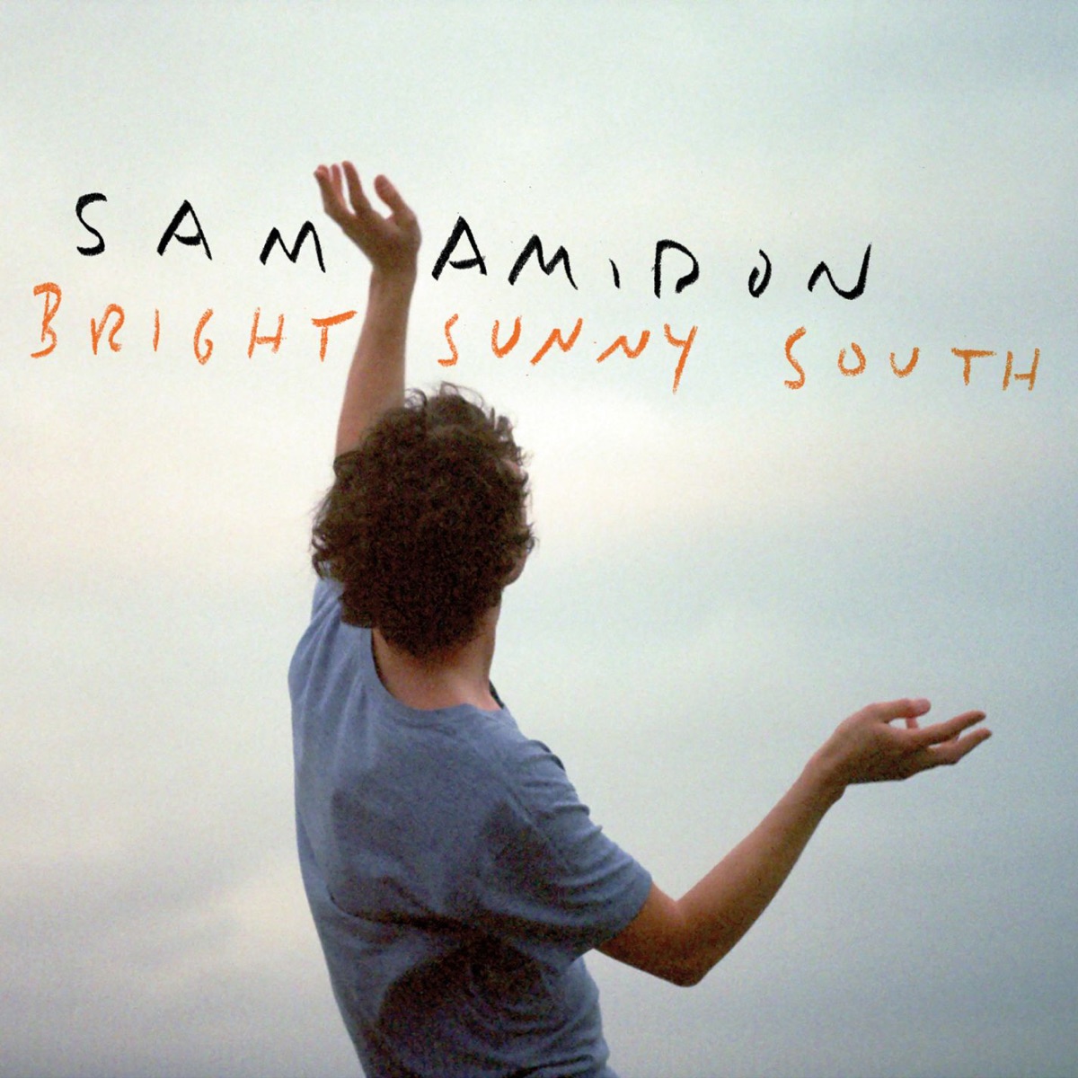 Bright Sunny South by Sam Amidon