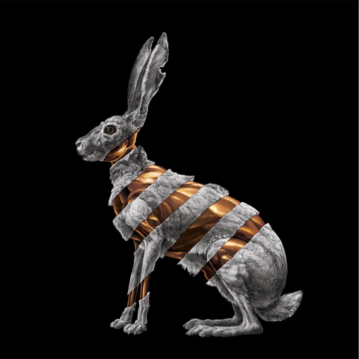 Jackrabbit by San Fermin