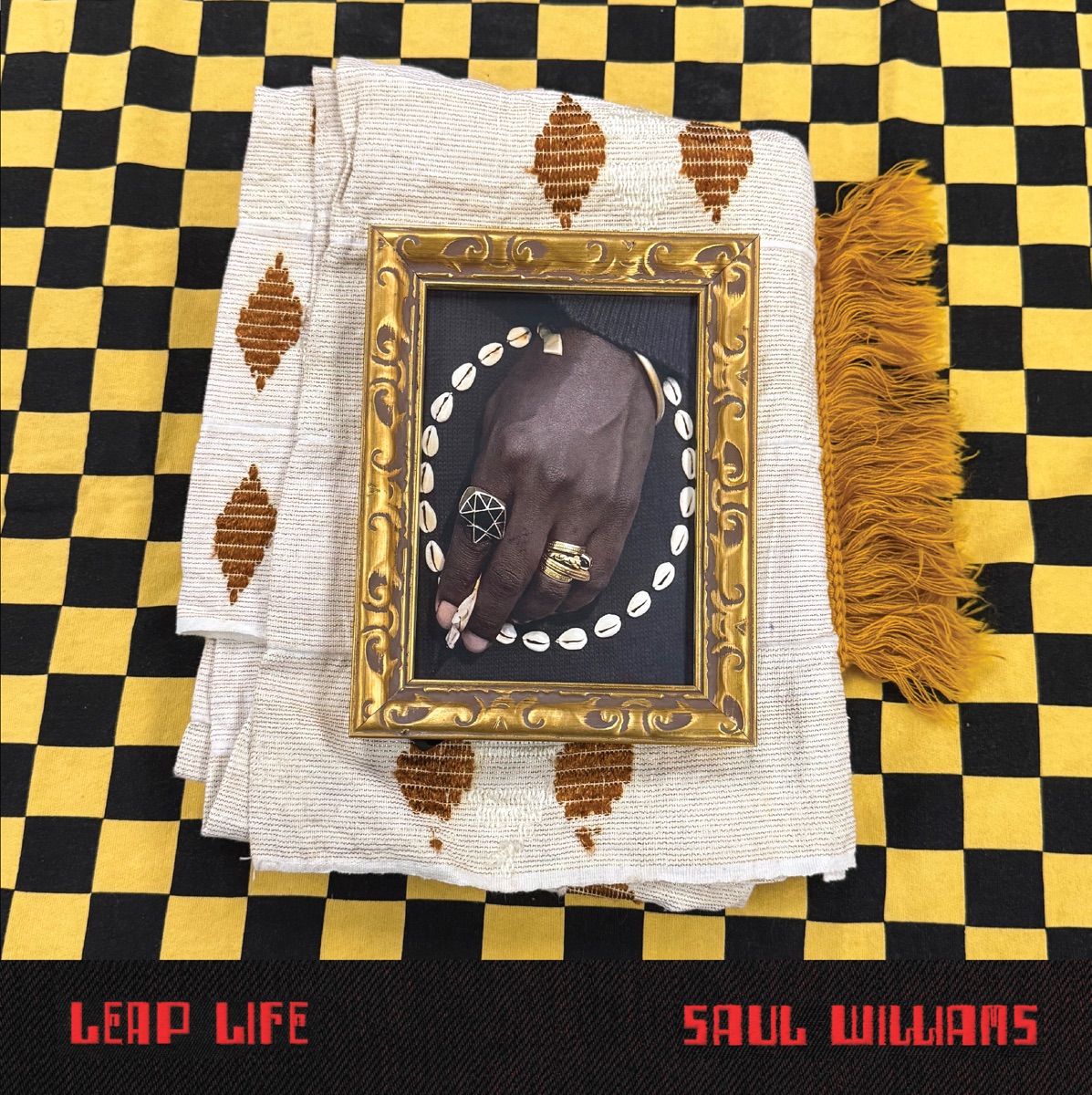 Leap Life by Saul Williams
