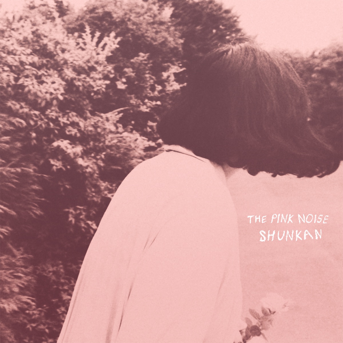 The Pink Noise by Shunkan