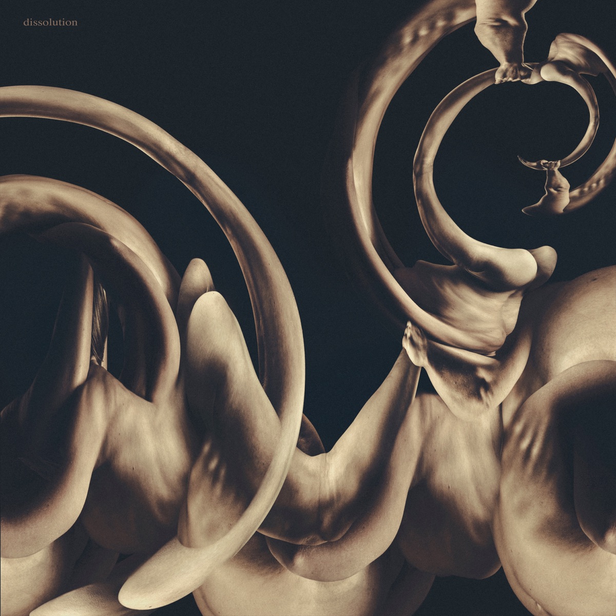 dissolution by Siamese