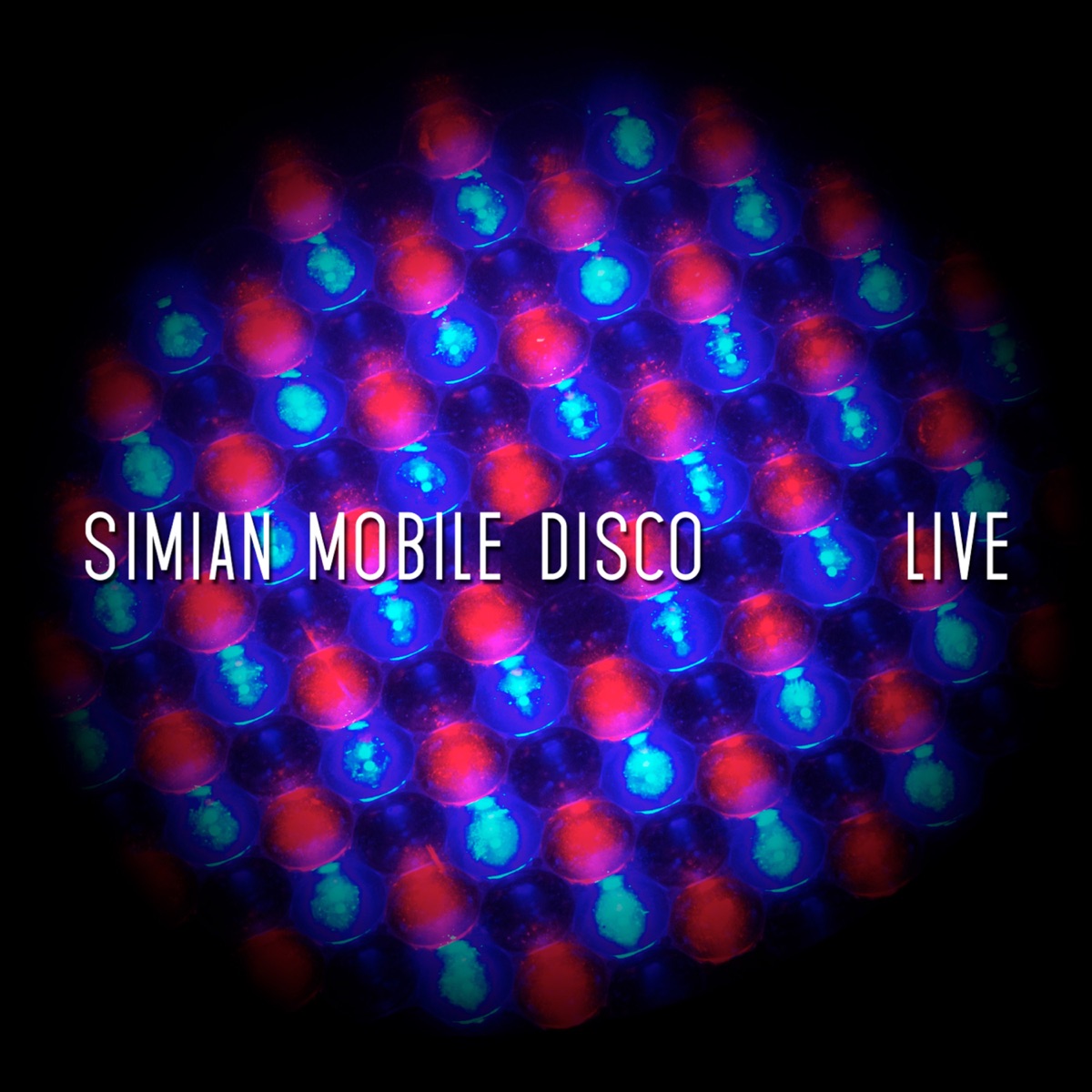 Live by Simian Mobile Disco