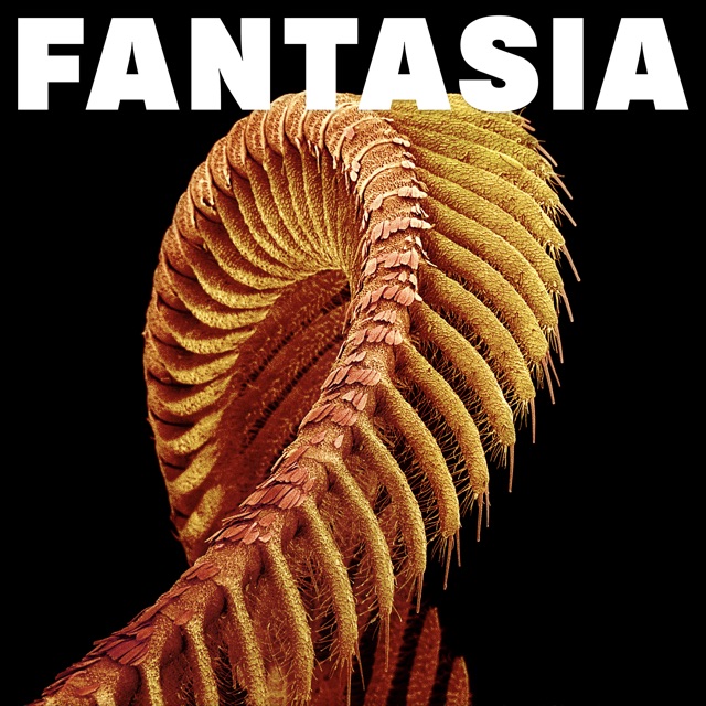Fantasia by SLIFT
