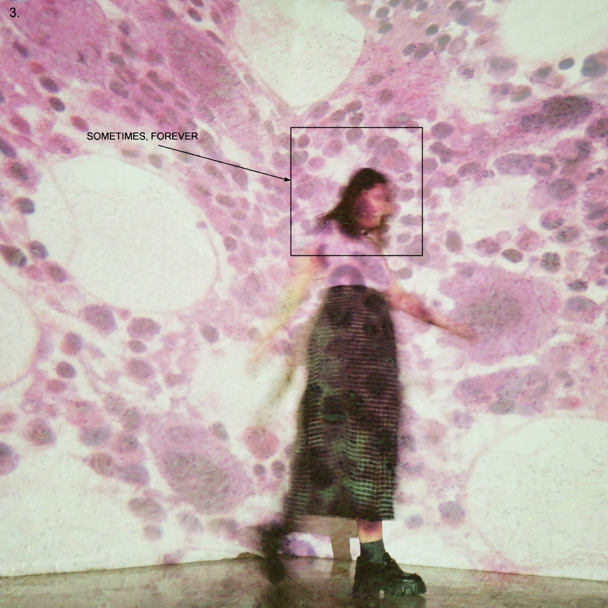 Sometimes, Forever by Soccer Mommy